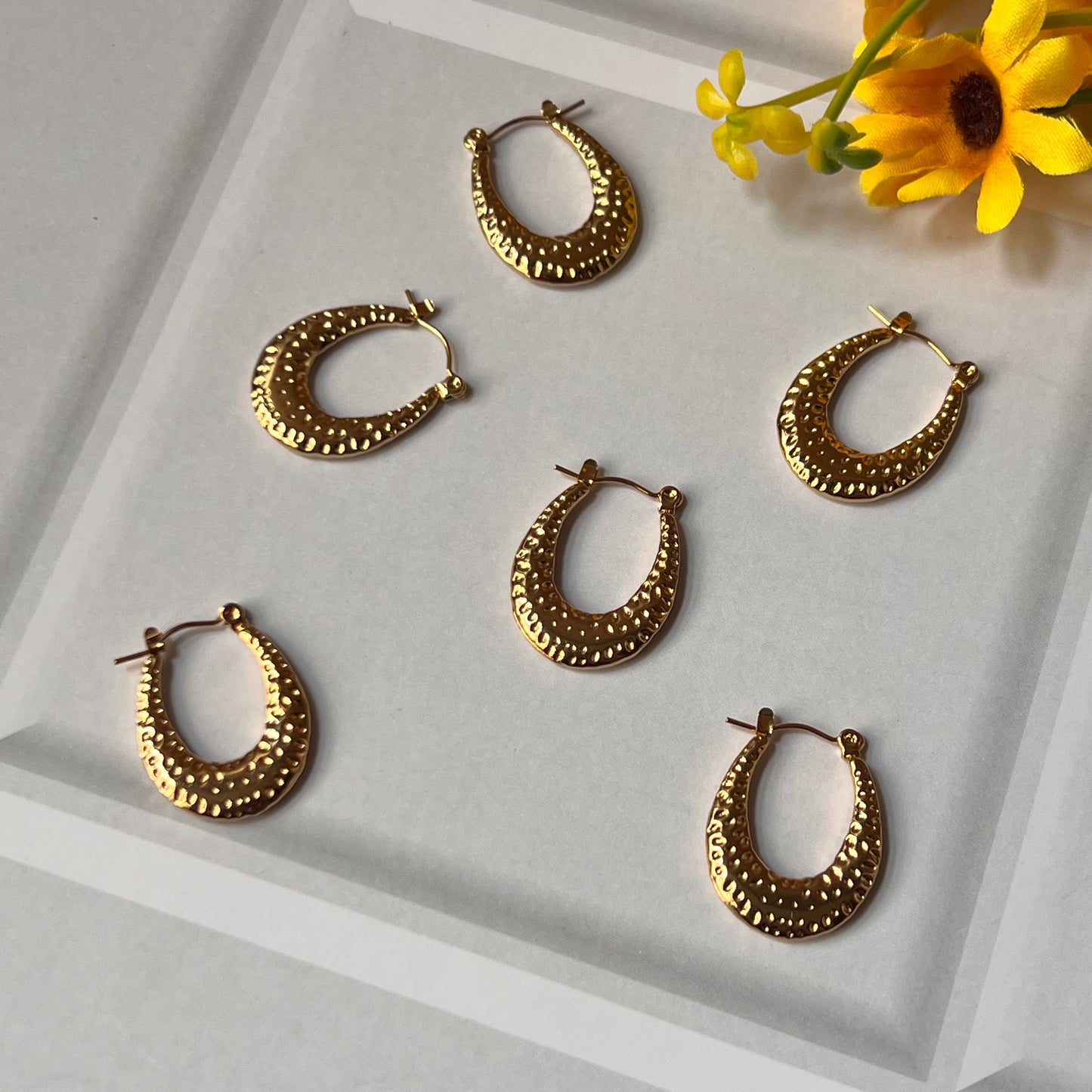 Donna Everyday Hoops