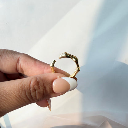 Steven Ring