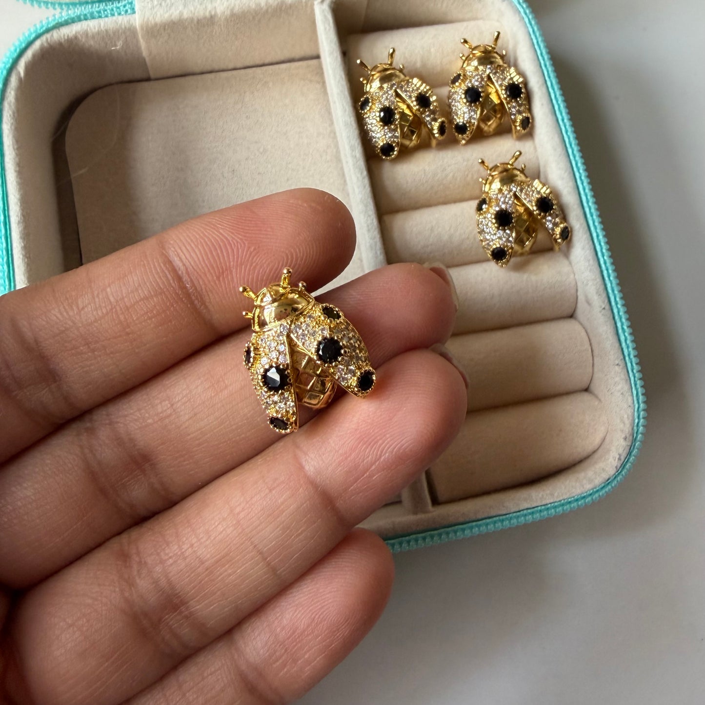 Little Polka bugs