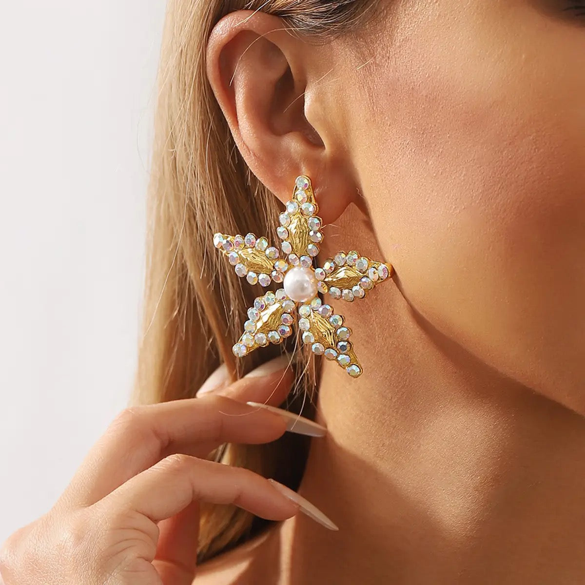 Shine like a star earrings