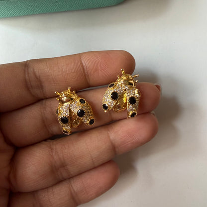 Little Polka bugs