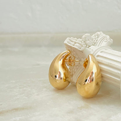 Drop Earrings